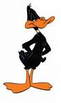 pic for Daffy Duck